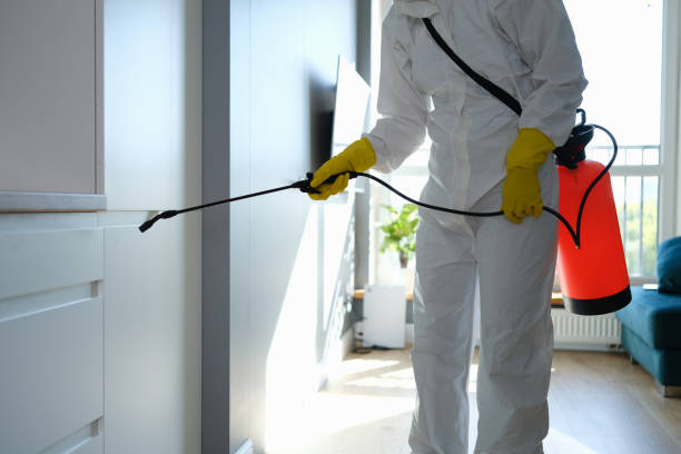 Best Localized Mold Remediation (e.g., coastal areas, humid climates) in Chena Ridge, AK
